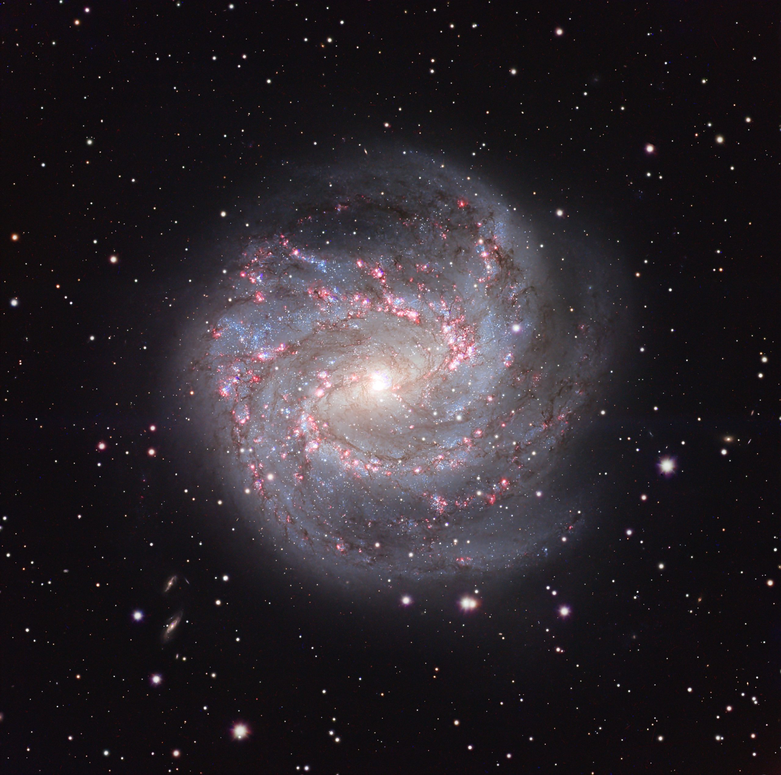 M83: چرخ و فلک جنوبی